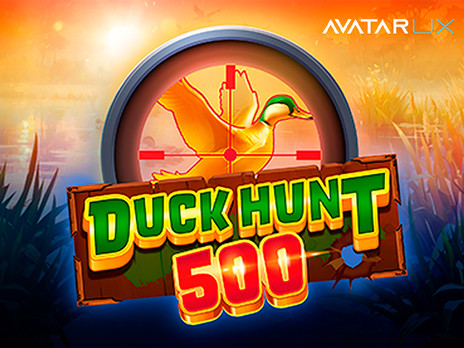 Duck Hunt 500 играть в демо