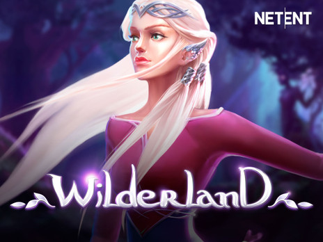 Wilderland демо онлайн
